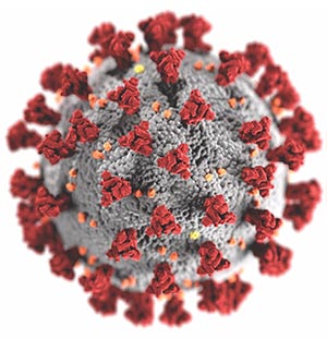 SARS Cov 2