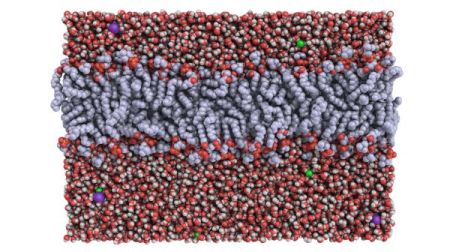 2020 11 16 amber 450